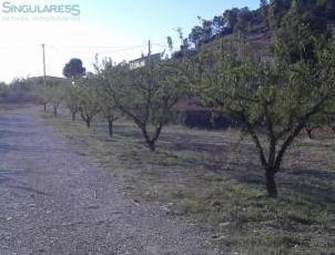 SE VENDEN PARCELAS URBANAS SIERRA DE RICOTE
