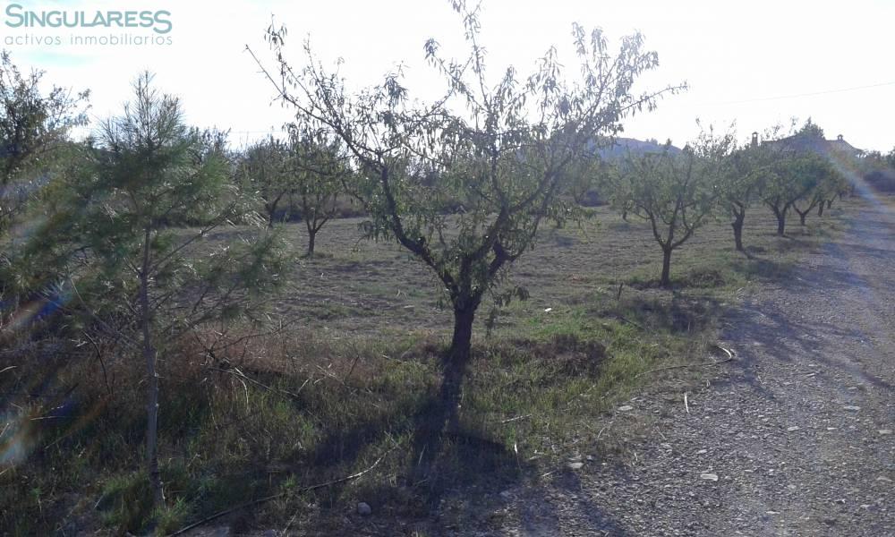 Comprar terreno de 1443m² en Ricote
