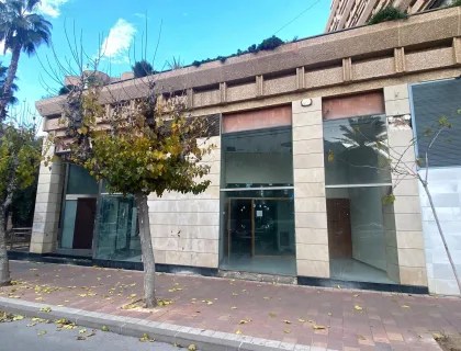 enum.image-types.null