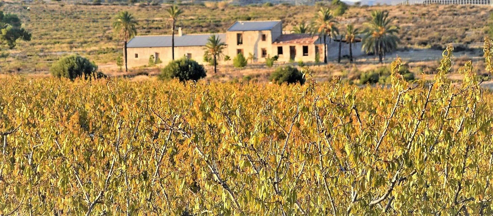 Comprar terreno de 453082m² en Las Torres de Cotillas