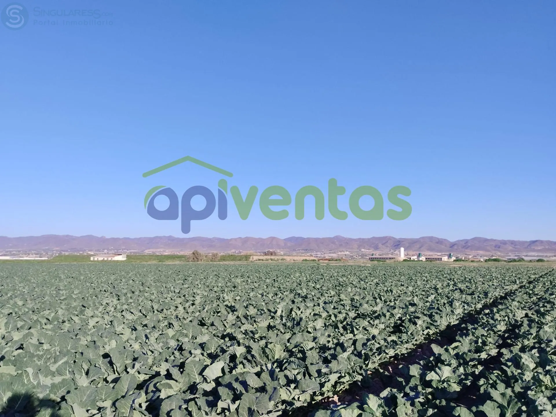 Comprar terreno en Polígono 145 Parcela 26 VENTORRI. LORCA (MURCIA) en Lorca
