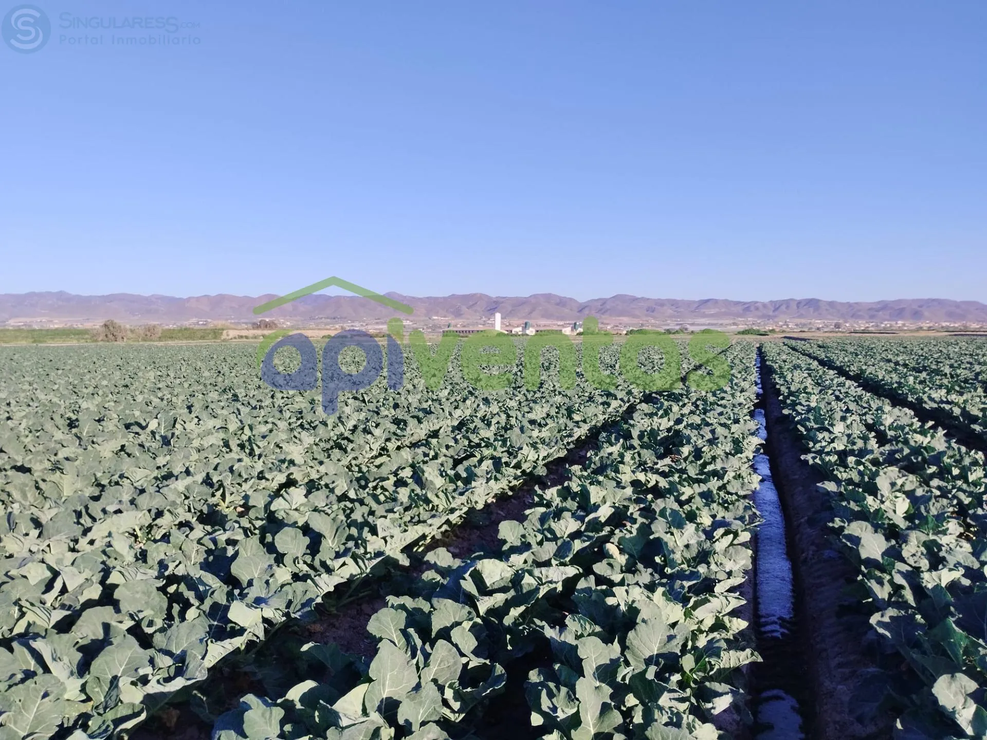 Comprar terreno en Polígono 145 Parcela 26 VENTORRI. LORCA (MURCIA) en Lorca