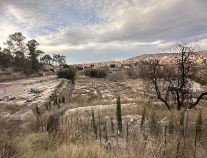 Comprar terreno de 2000m² en Cieza