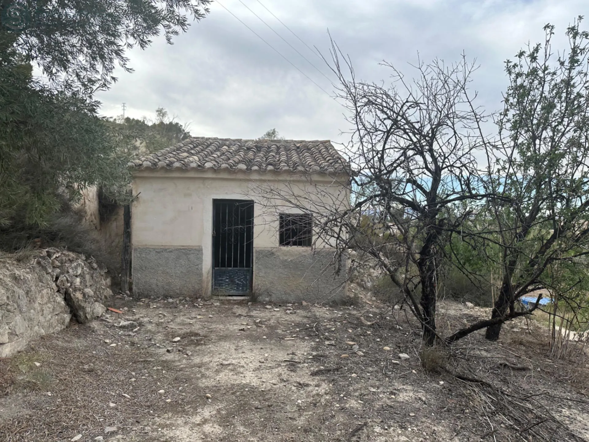 Comprar casa de 3500m² en Cieza