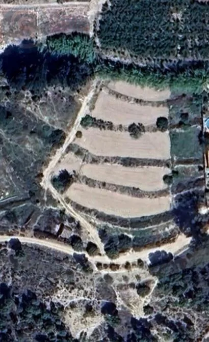 Comprar casa de 3500m² en Cieza
