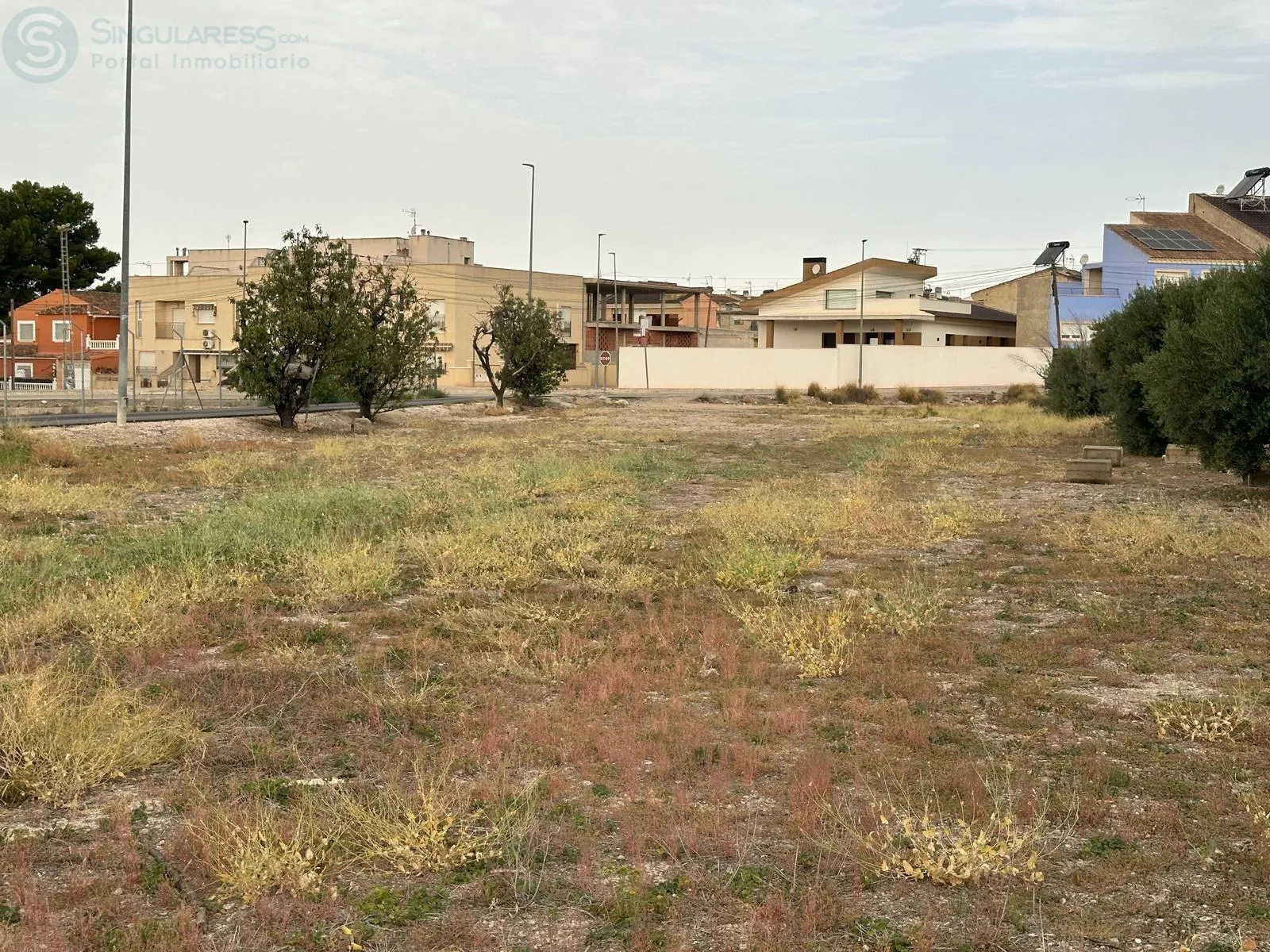 Comprar terreno de 8090m² en Blanca