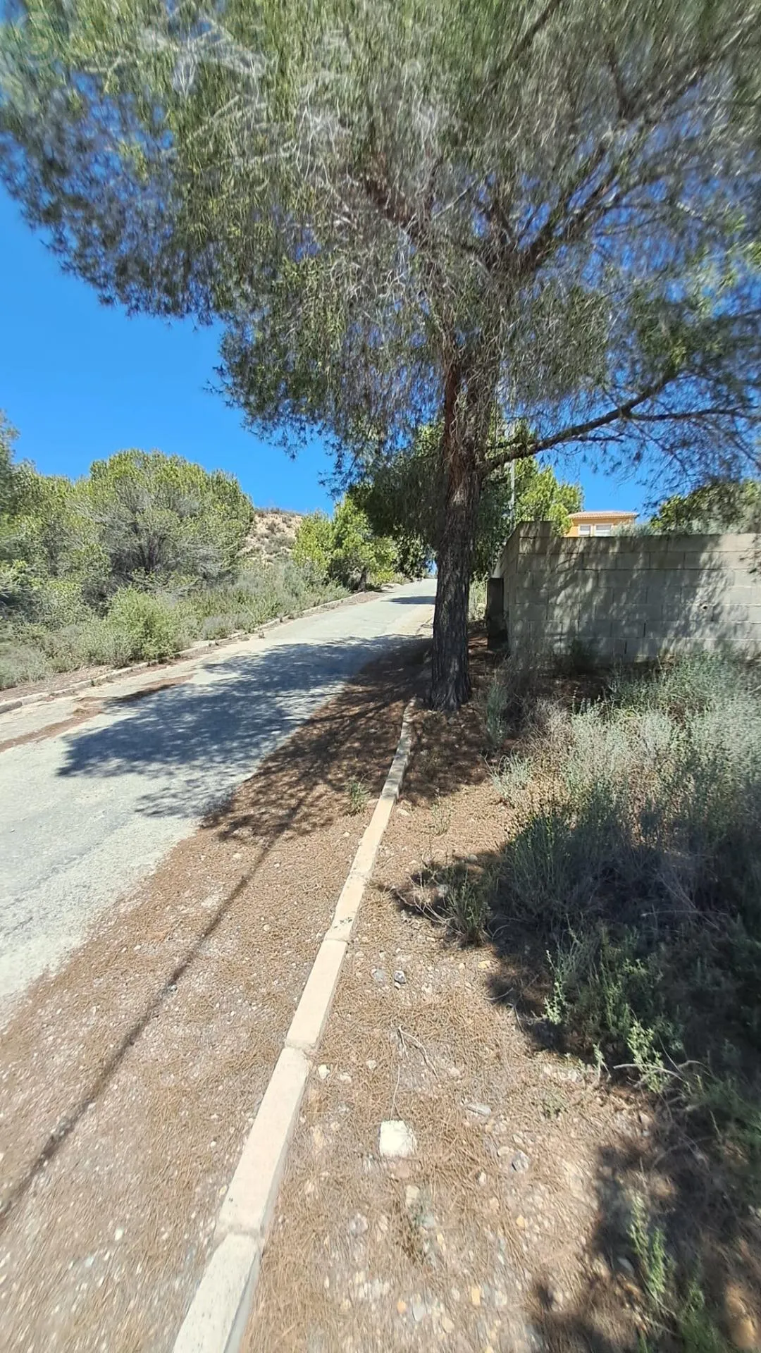 Comprar terreno en Calle LA PINADA en Murcia