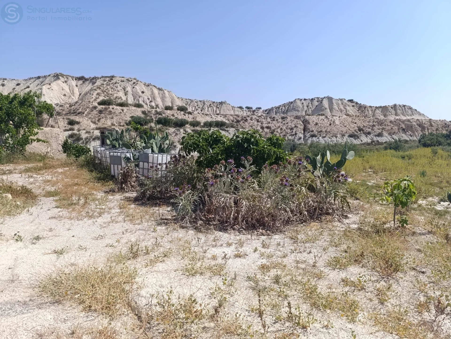 Comprar terreno en Calle De Morón nº POLIGONO en Albudeite