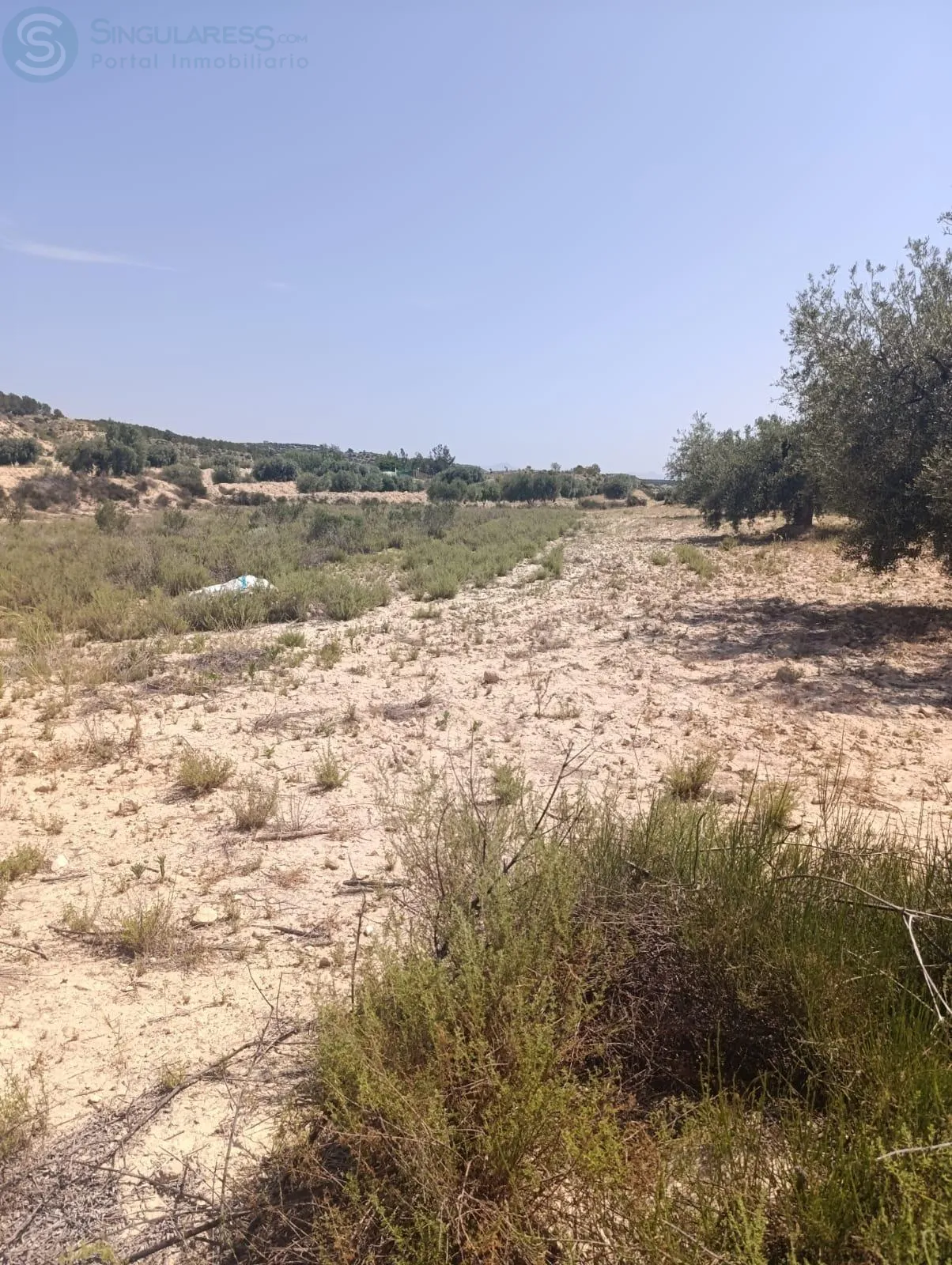 Comprar terreno de 12275m² en Albudeite