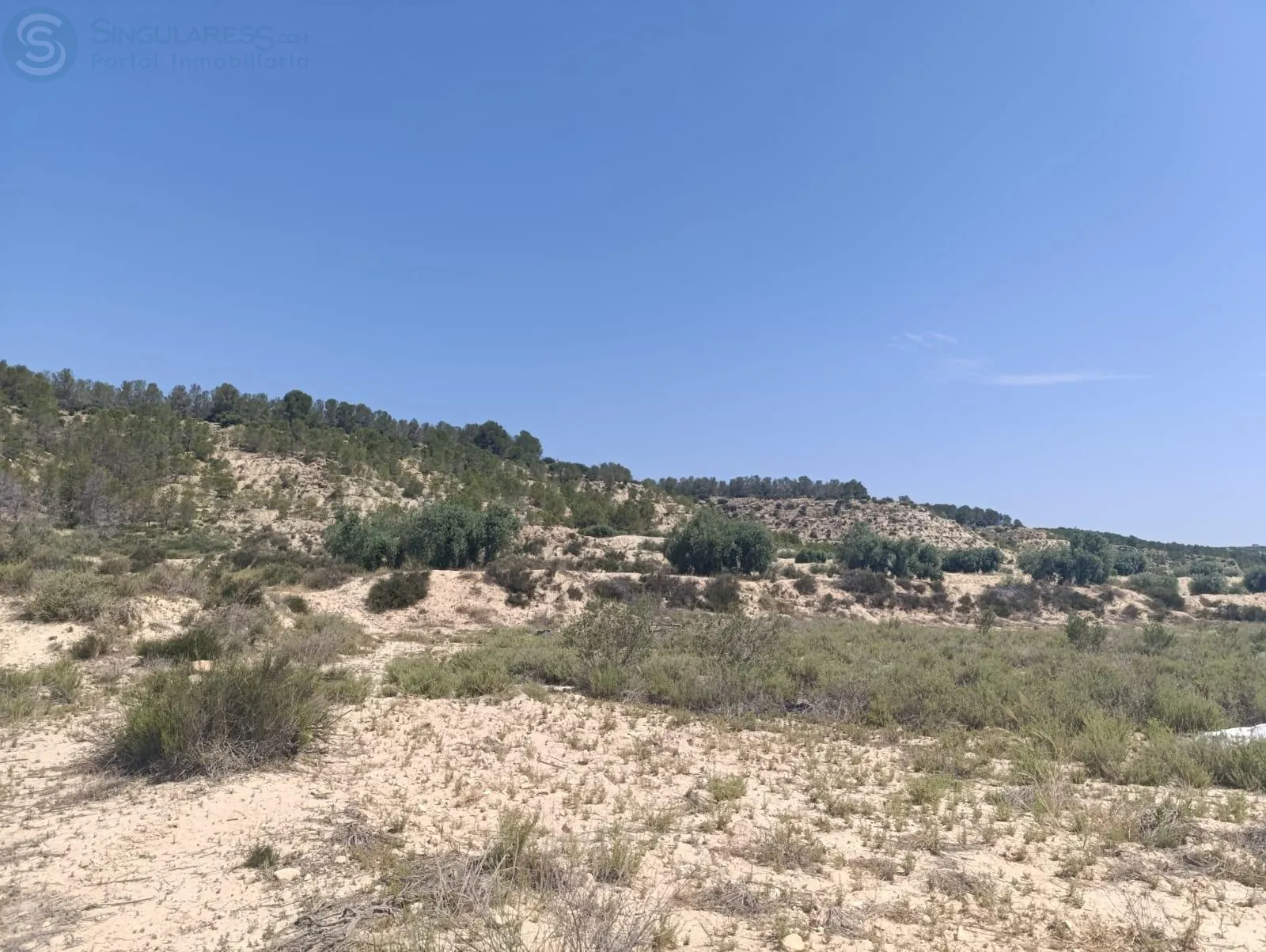 Comprar terreno de 12275m² en Albudeite
