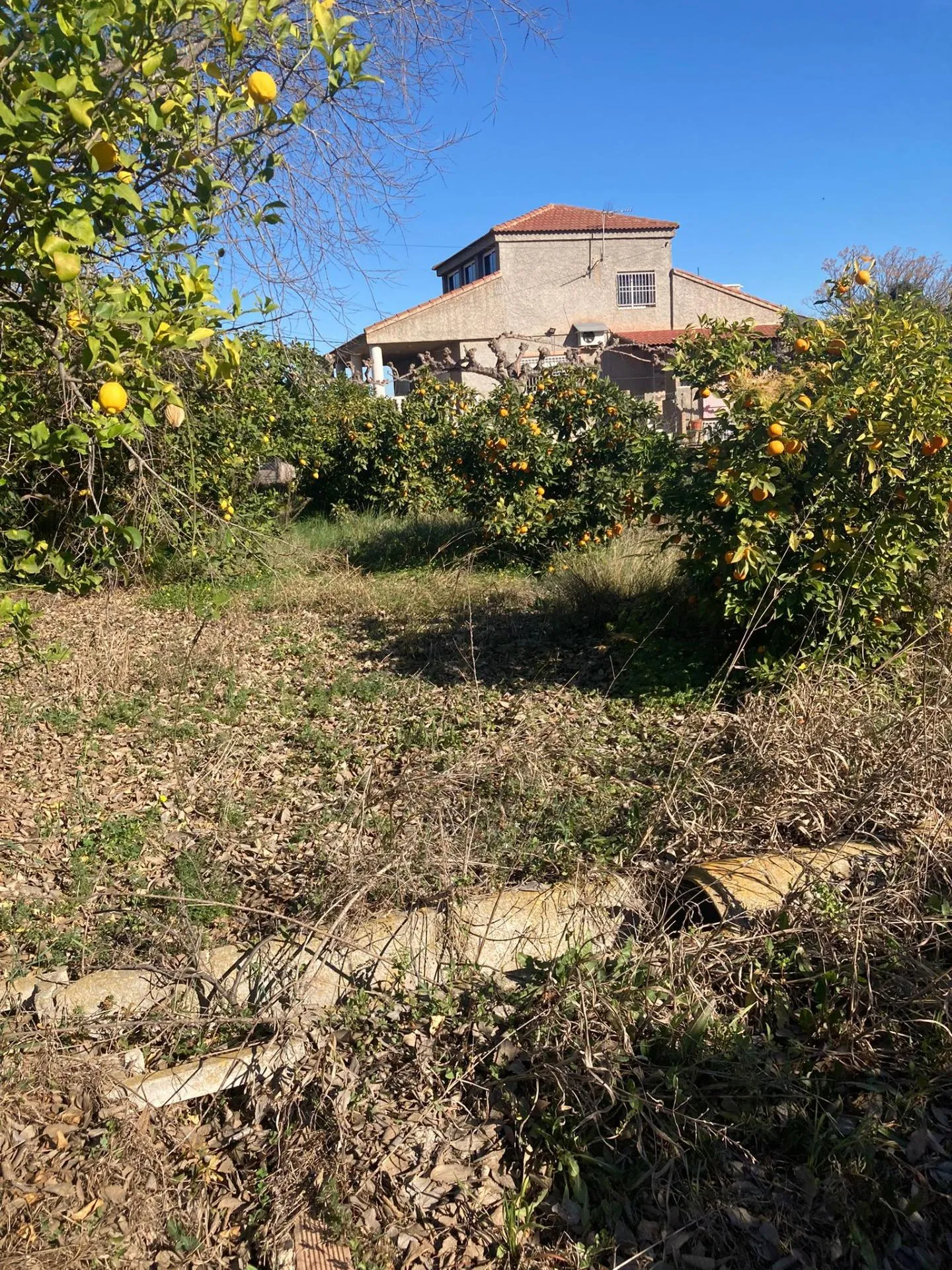 Comprar terreno en Calle TORRE DE LOS CORDOBA nº 179 en Murcia