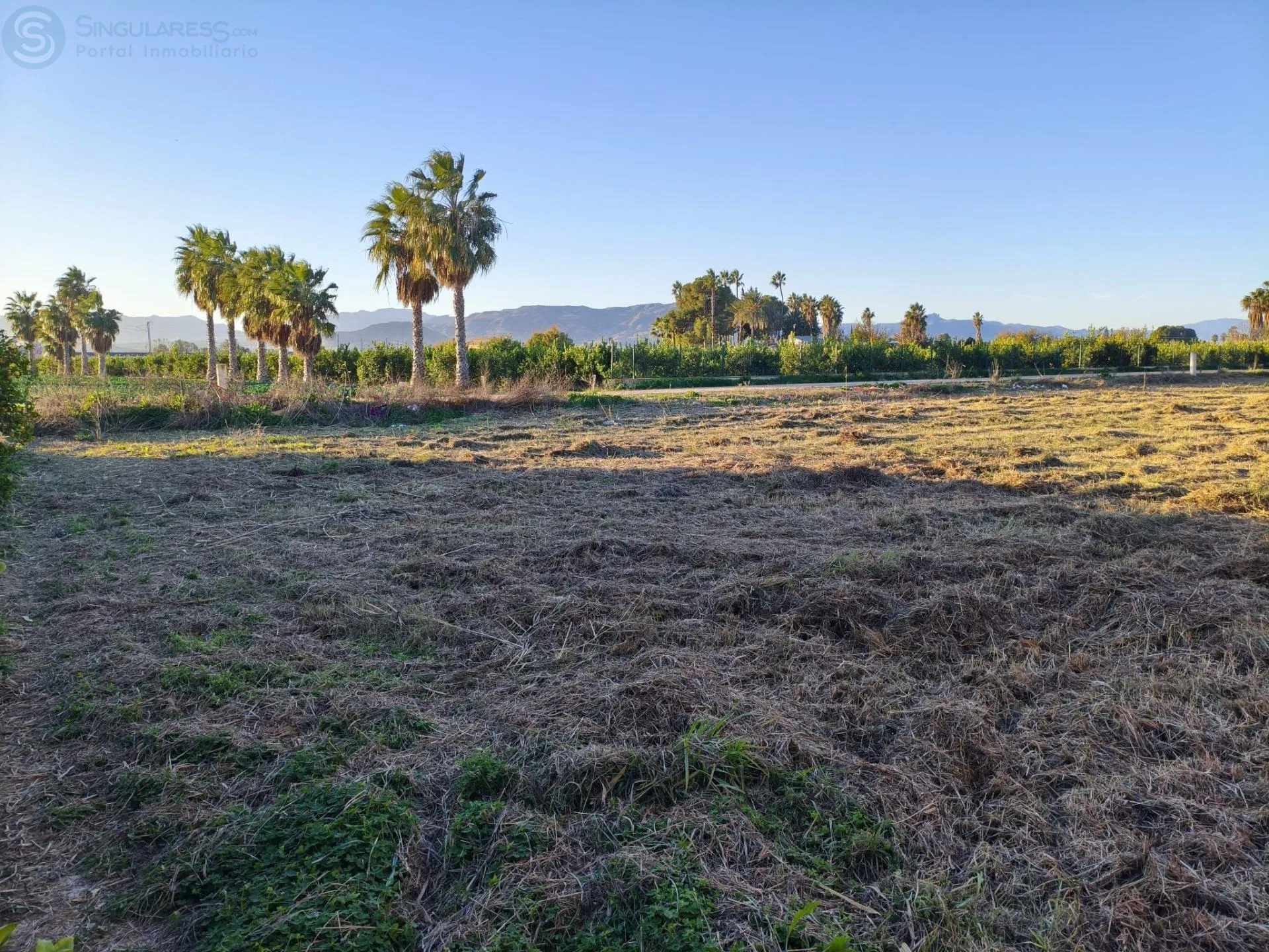 Comprar terreno en Calle Brazal de la Mota nº 595 en Murcia