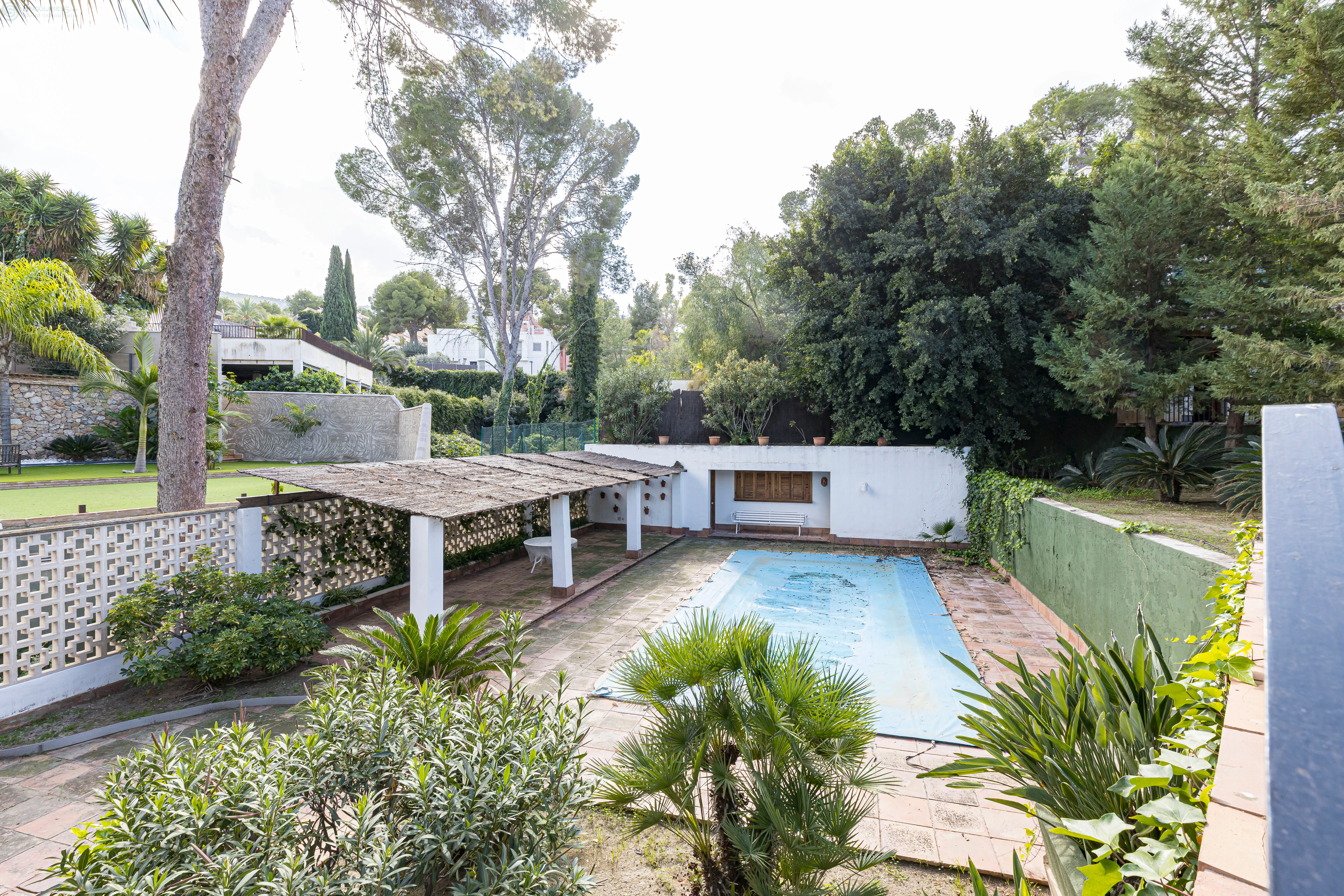 Comprar chalet en Calle Buenos Aires nº 5 en Murcia - Jardín