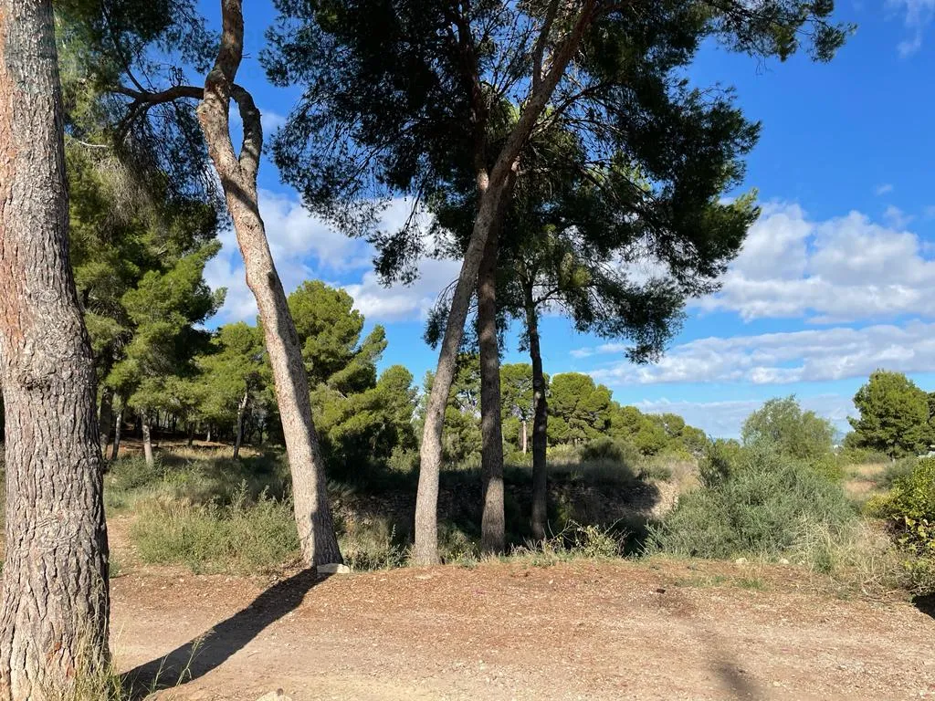 Comprar terreno en Calle DEL PINO nº S/N en Murcia