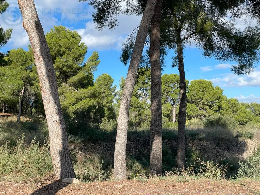 Comprar terreno en Calle DEL PINO nº S/N en Murcia