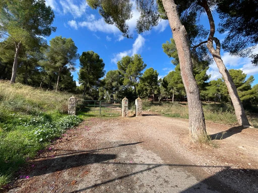 Comprar terreno en Calle DEL PINO nº S/N en Murcia