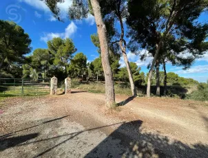 TERRENO CALLE DEL PINO - LA ALBERCA