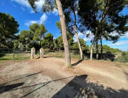 Comprar terreno de 14000m² en Murcia