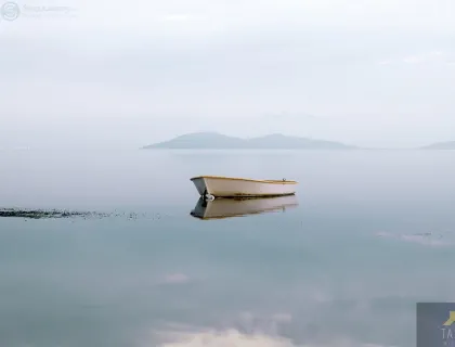 UNKNOWN