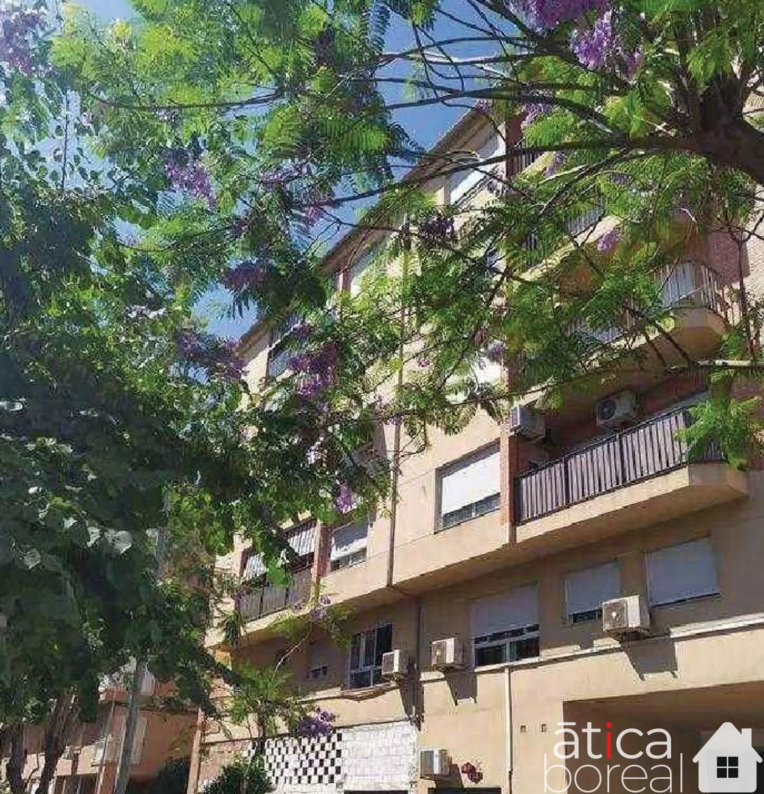 Comprar local en Calle De Las Flores nº 6 en Alcantarilla