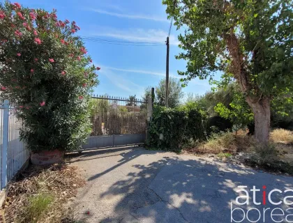 Comprar terreno de 1303m² en Murcia