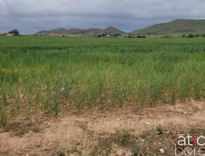 Comprar terreno de 181m² en Cartagena