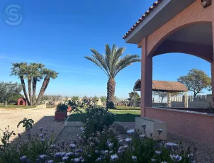 FINCA DE 3.000 M², EN EL ALGAR