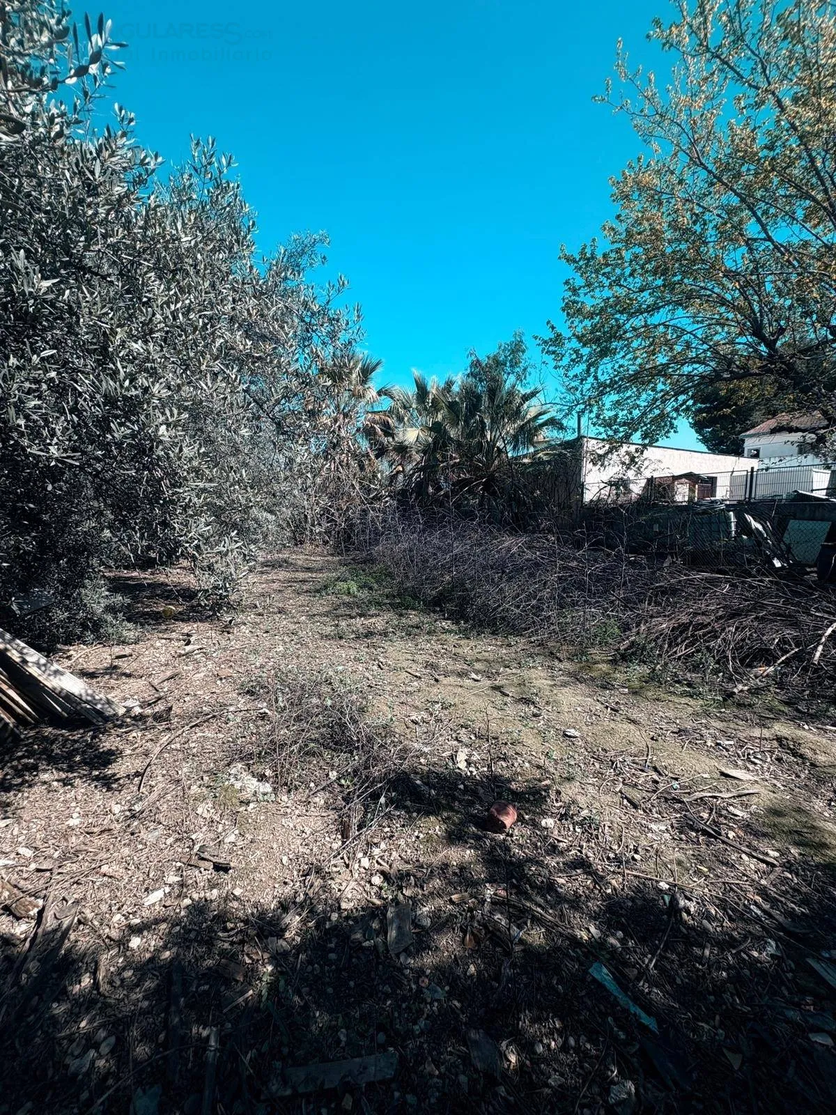 Comprar terreno de 454m² en Murcia
