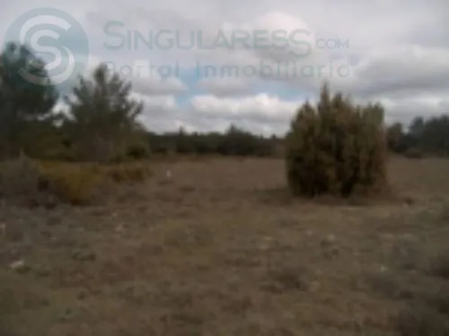Comprar terreno de 22890m² en Cortes de Pallás