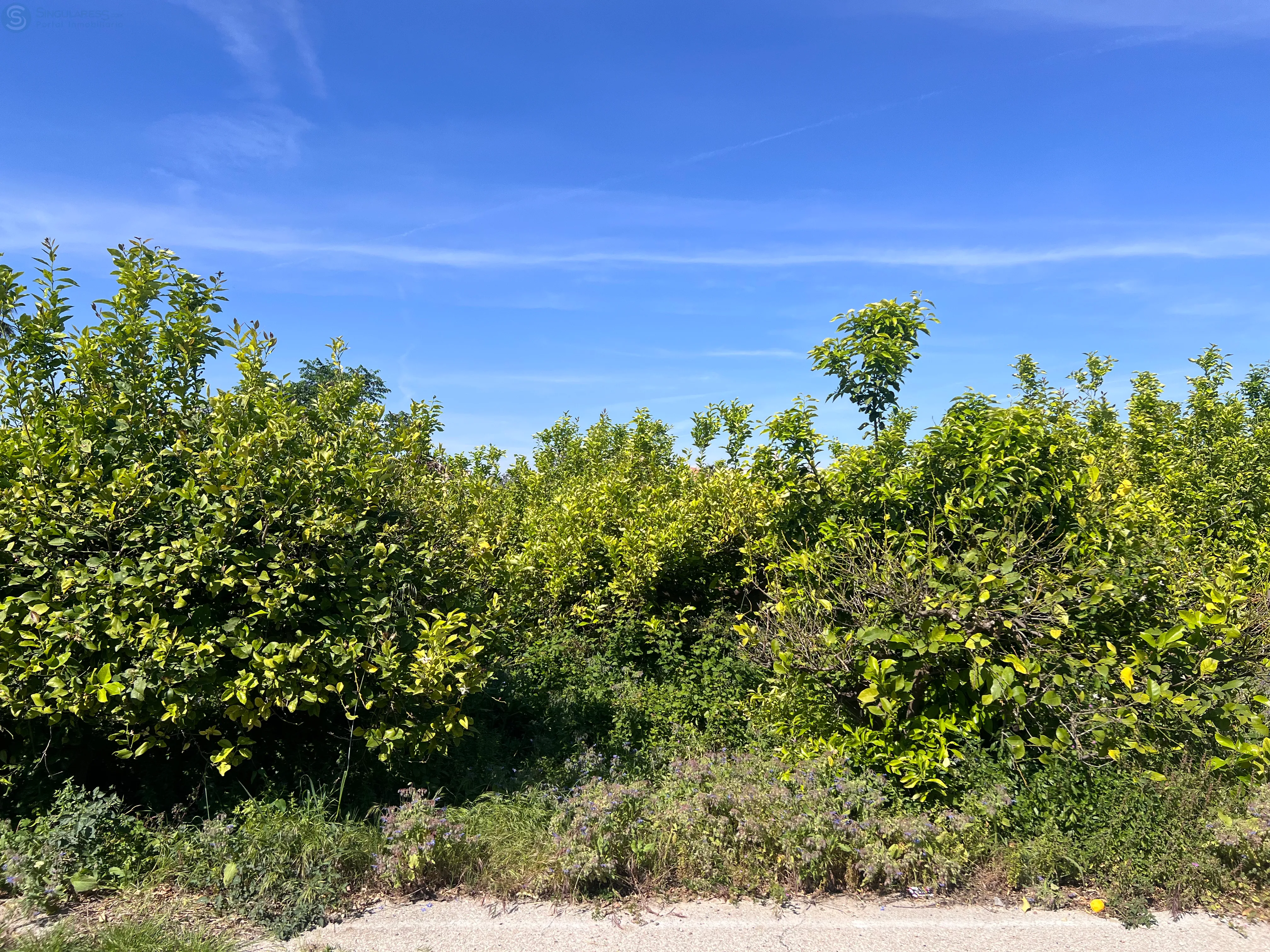 Comprar terreno en Calle carril del puas nº 2 en Murcia