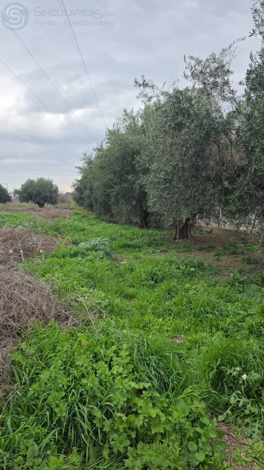 Comprar terreno en Calle De Torre Piñero nº 31 en Murcia