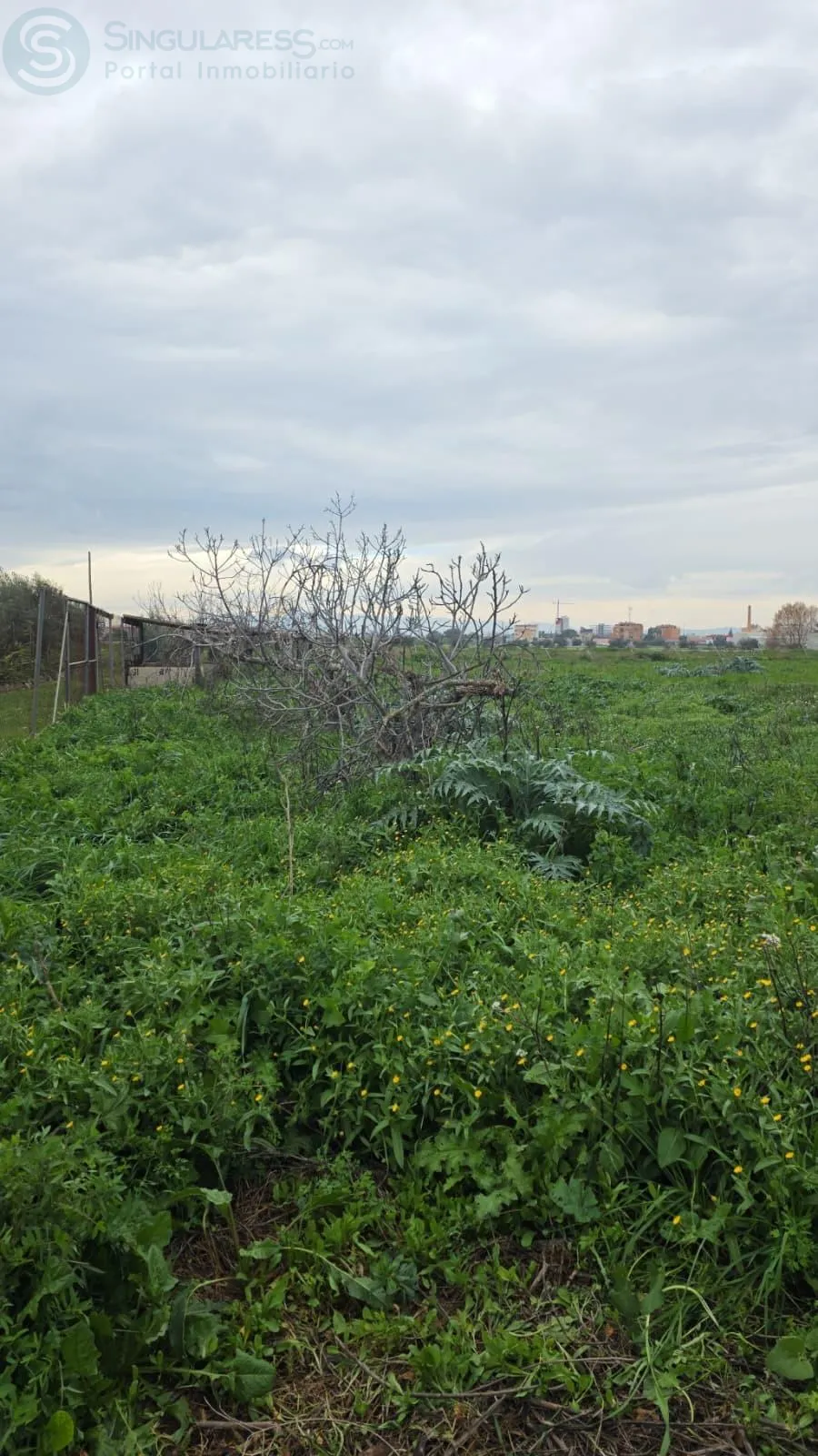 Comprar terreno en Calle De Torre Piñero nº 31 en Murcia