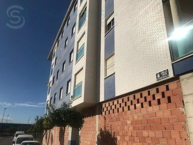Comprar instalaciones, naves industriales... de 219m² en Murcia