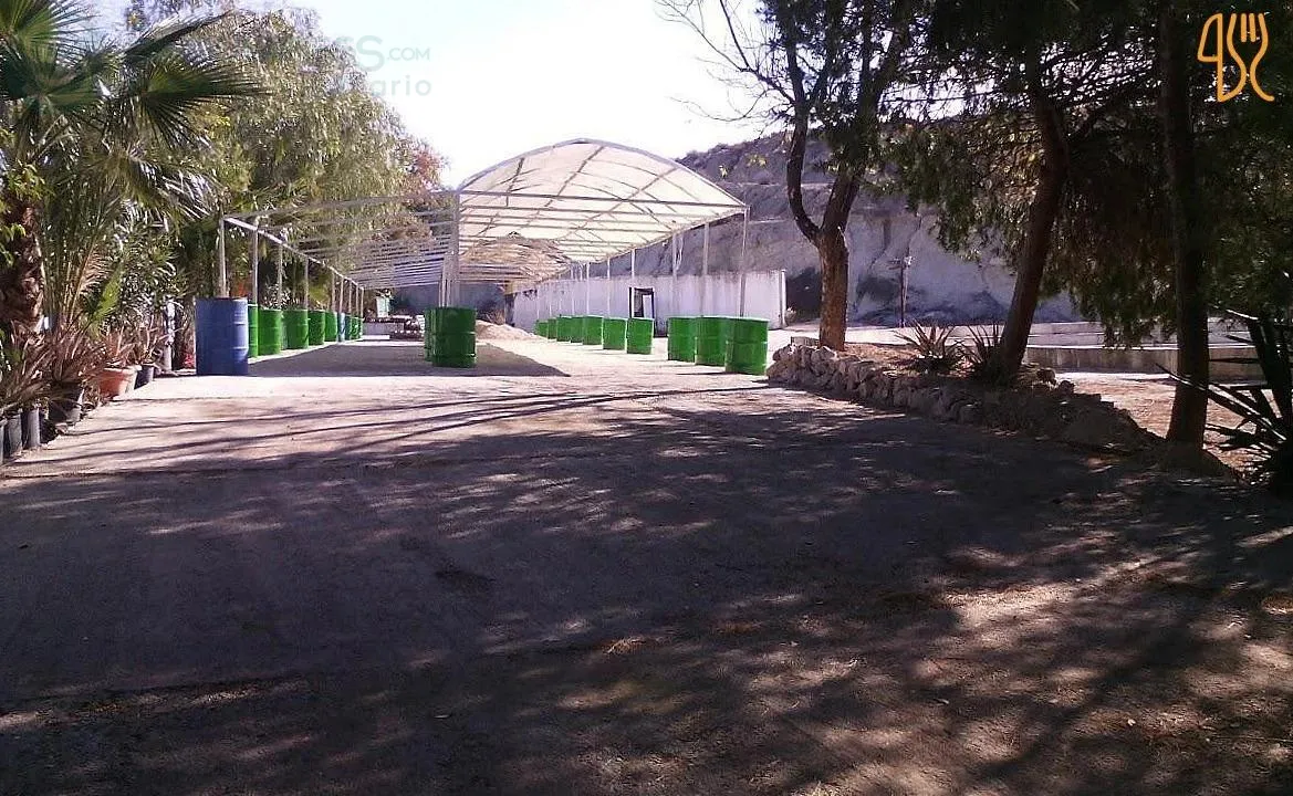 Comprar local en Calle Panderón de los Giles nº 104 en Molina de Segura