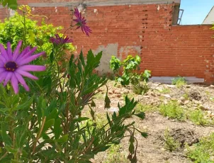 Finca en Alquerías (Murcia) 
