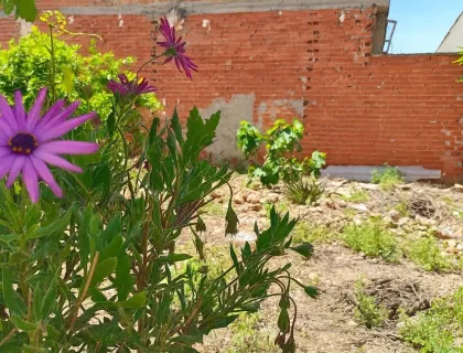 Comprar terreno de 255m² en Murcia