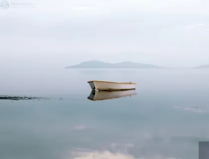 UNKNOWN