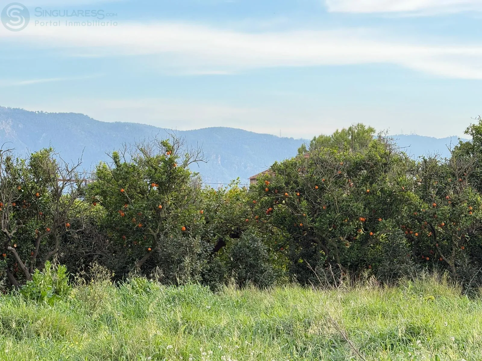 Comprar terreno de 1426m² en Murcia