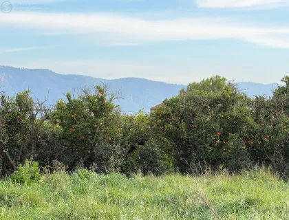 Comprar terreno de 1426m² en Murcia
