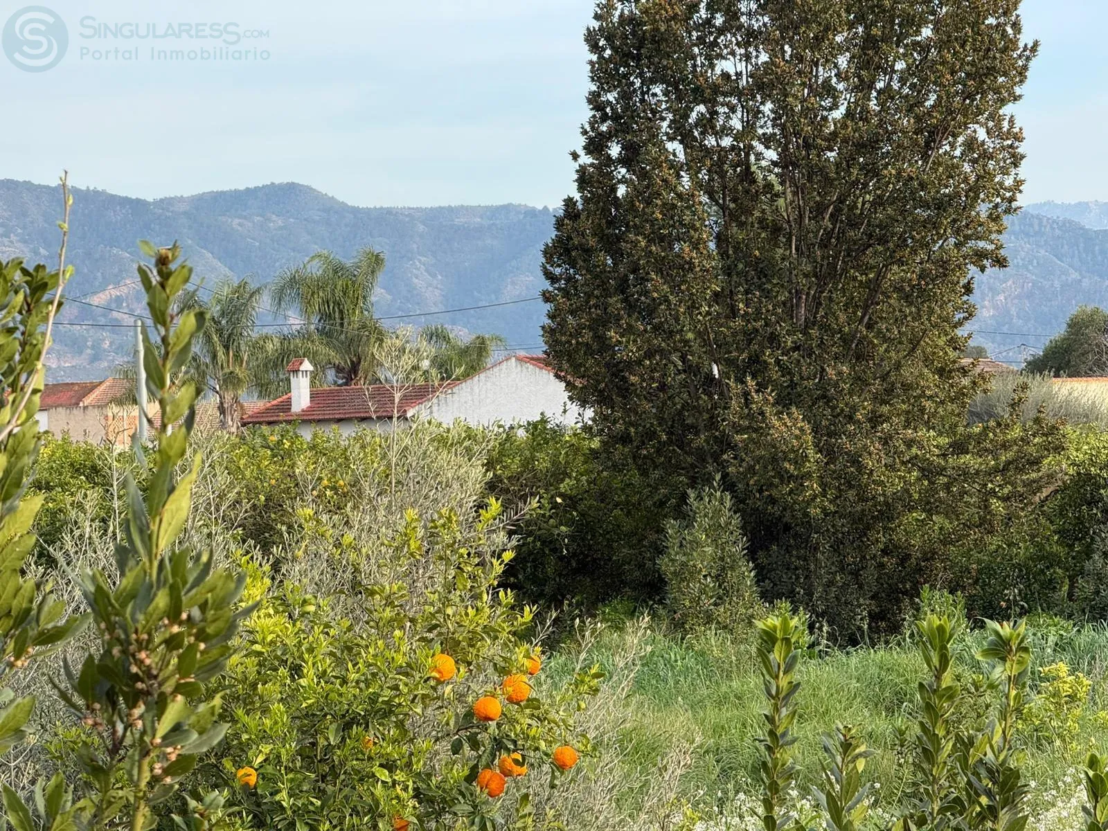Comprar terreno de 1426m² en Murcia