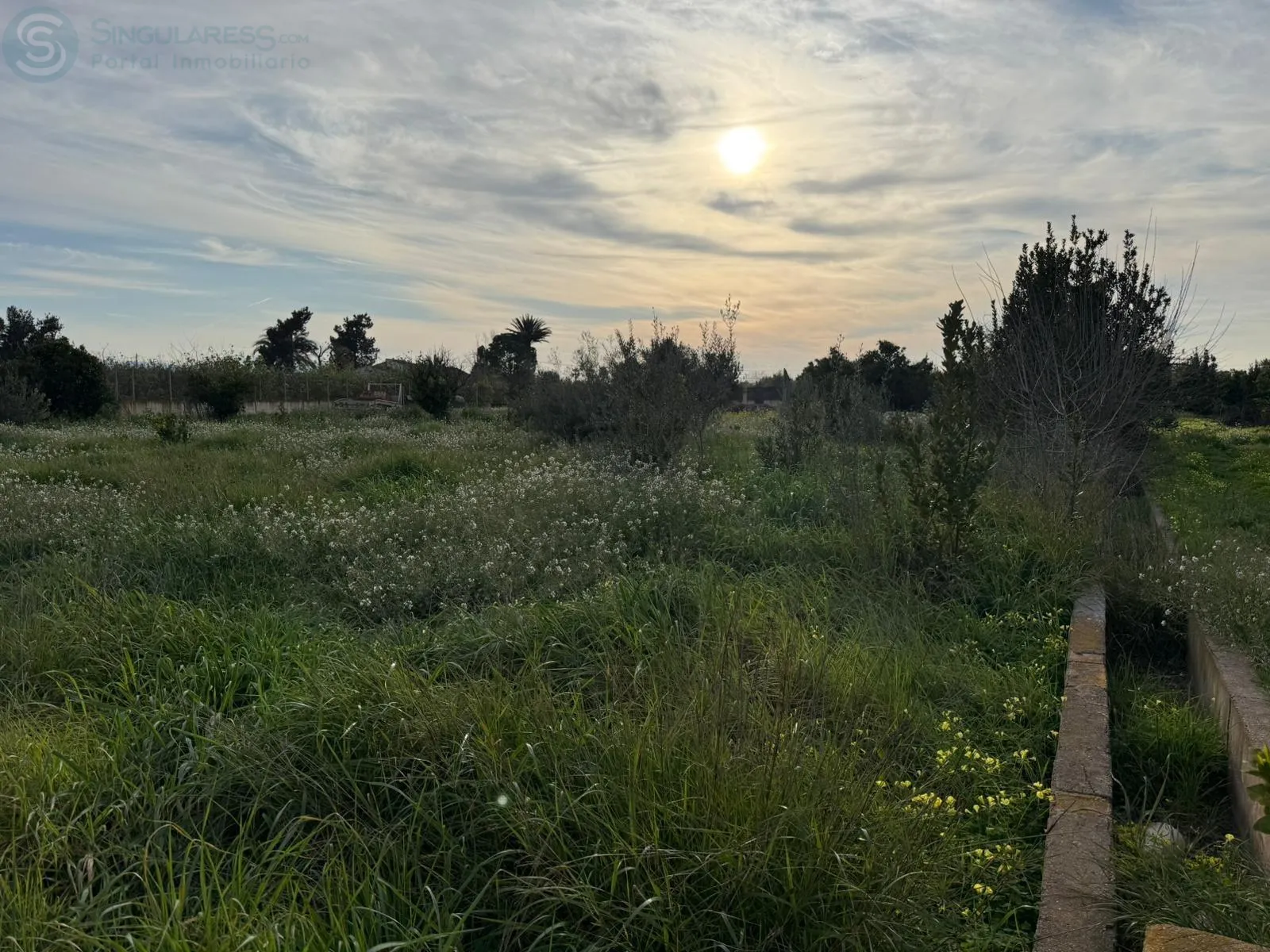 Comprar terreno de 1426m² en Murcia