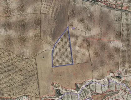 Comprar terreno de 34398m² en Mula