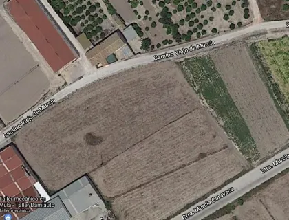 Comprar terreno de 8000m² en Mula