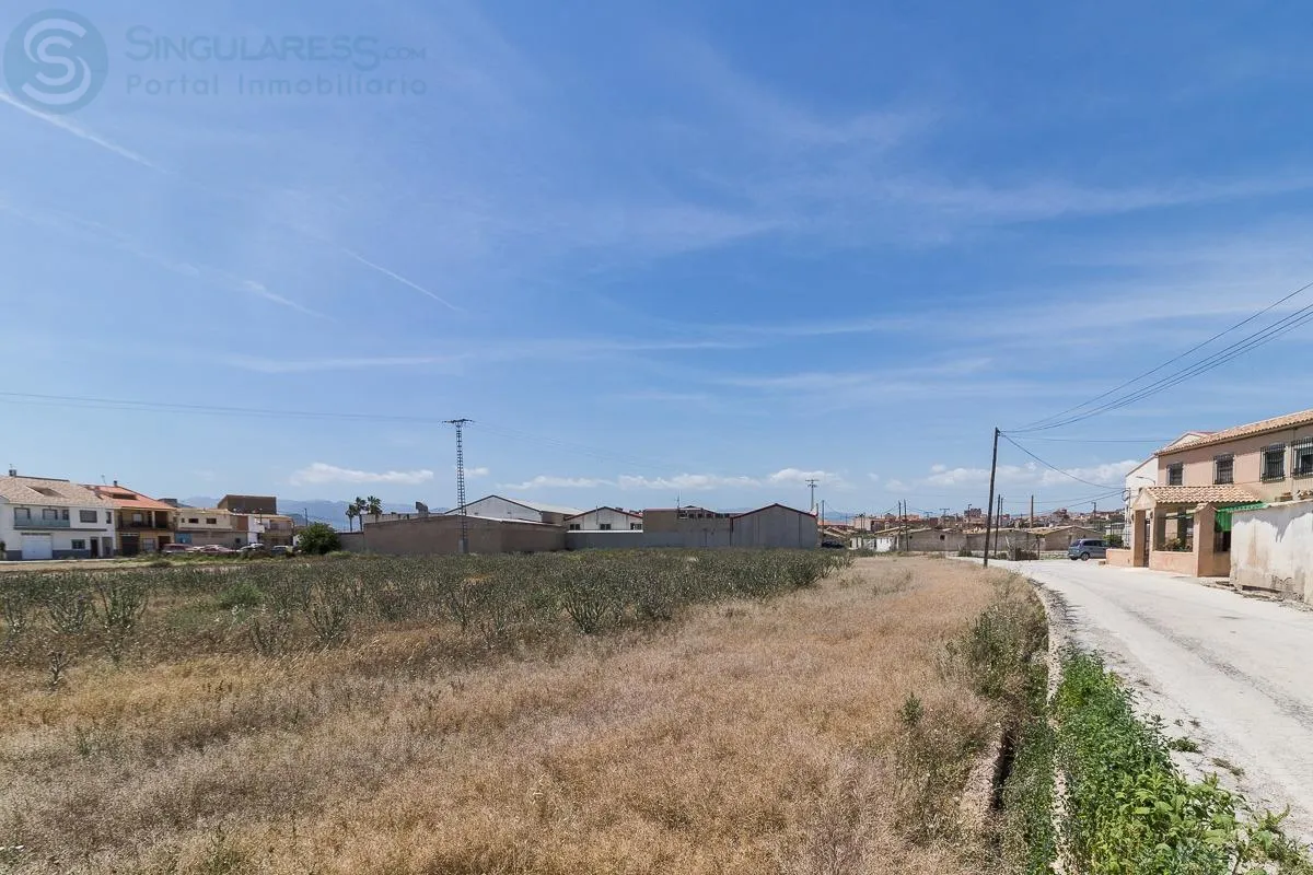 Comprar terreno de 8000m² en Mula
