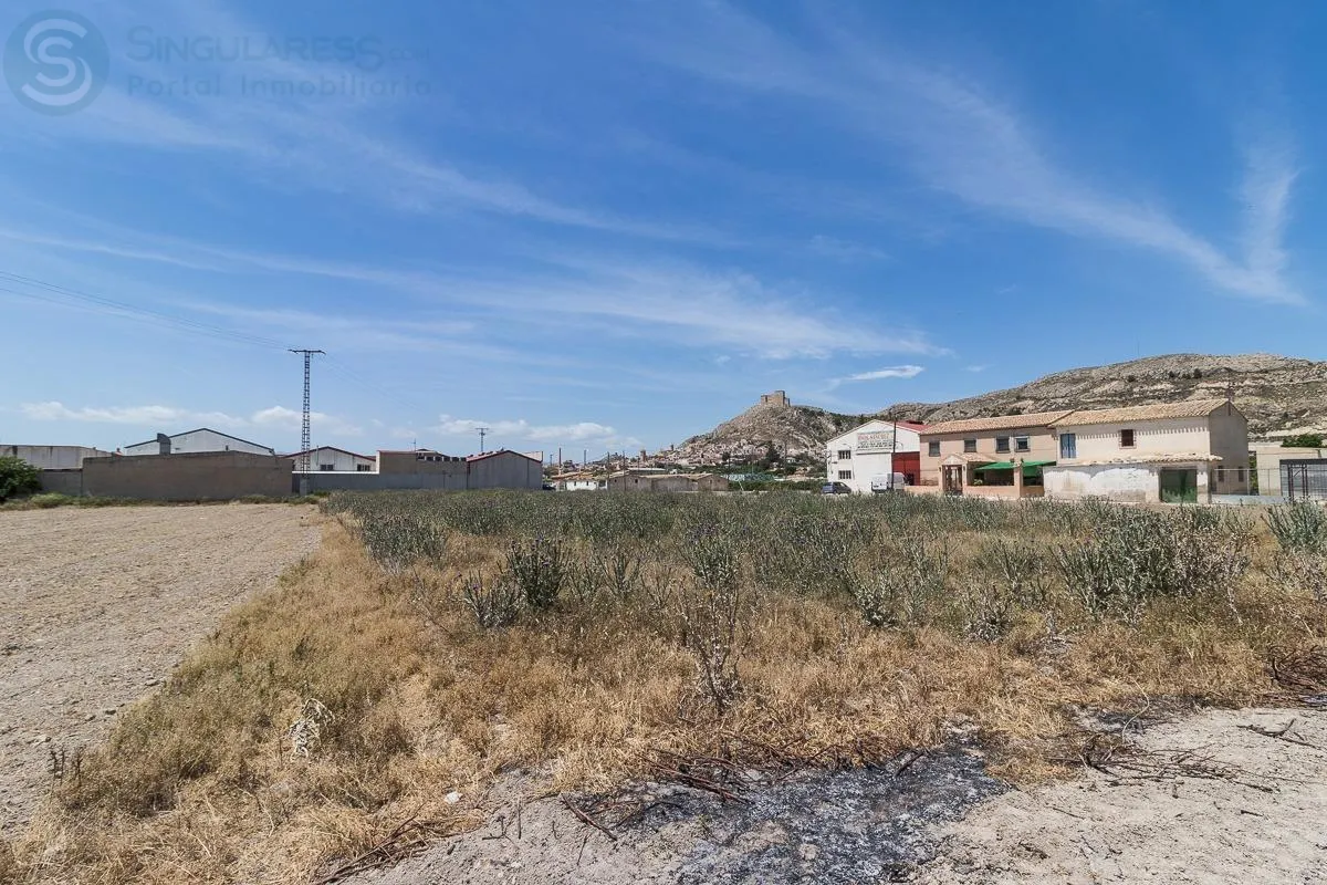 Comprar terreno de 8000m² en Mula