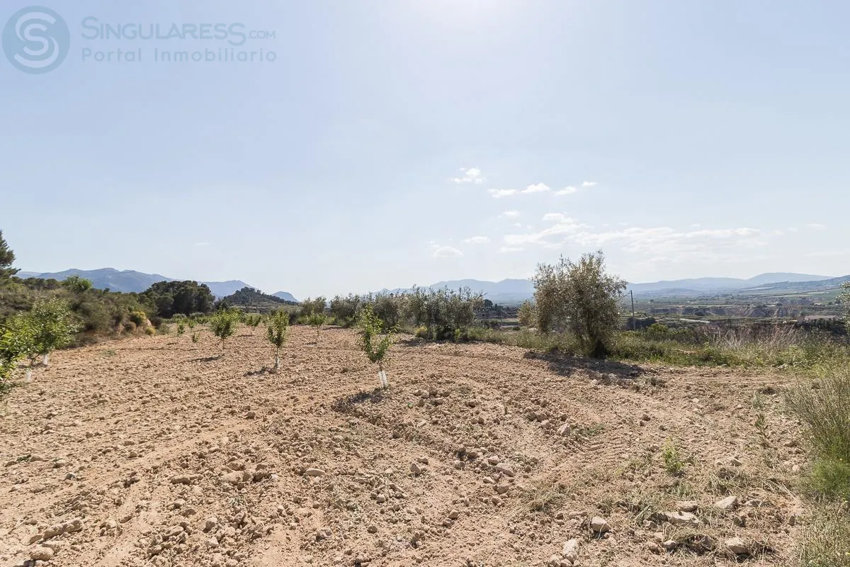 Comprar terreno de 12000m² en Pliego