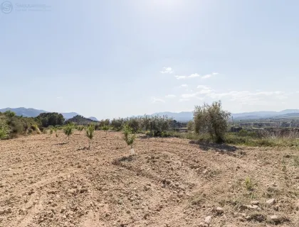 Comprar terreno de 12000m² en Pliego
