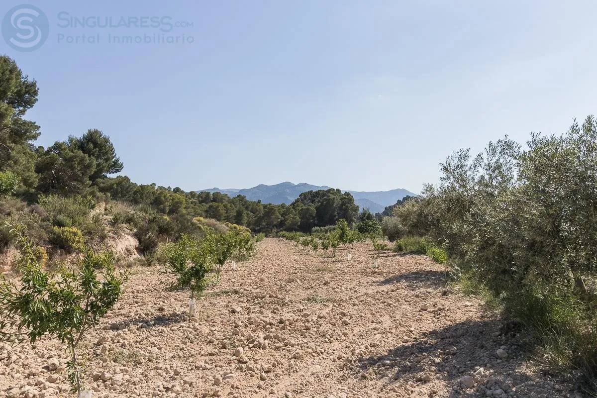 Comprar terreno de 12000m² en Pliego