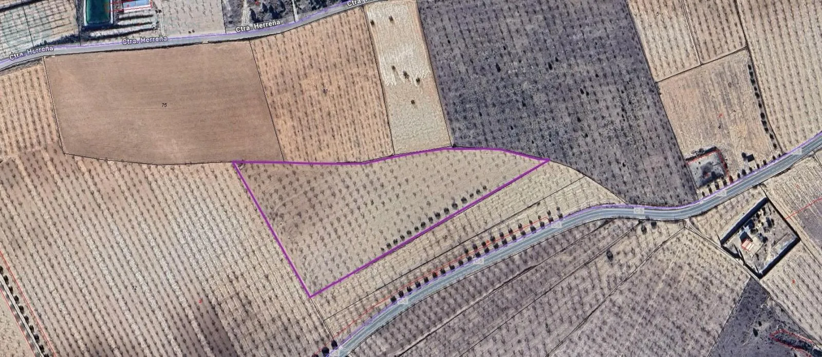 Comprar terreno de 25000m² en Mula