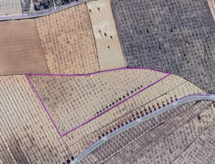 Comprar terreno de 25000m² en Mula